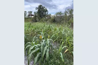 43820 Redlands Drive, Deland, FL 32720 - Photo 39