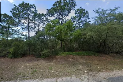 8864 N Barbados Way, Citrus Springs, FL 34433 - Photo 3