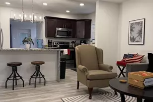 4714 W Lawn Ave, Tampa, FL 33611 - Photo 9