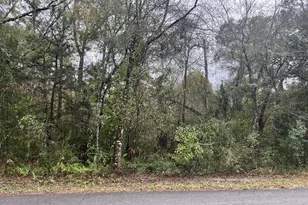 NW 17 Pl, Ocala, FL 34482 - Photo 1