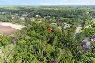 6005 Ike Smith Rd, Plant City, FL 33565 - Photo 37
