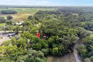 6005 Ike Smith Rd, Plant City, FL 33565 - Photo 39