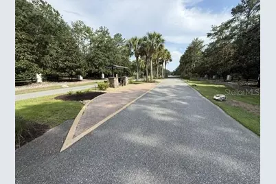 0 NW 148 Lane, Reddick, FL 32686 - Photo 3