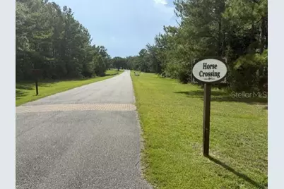 0 NW 148 Lane, Reddick, FL 32686 - Photo 5
