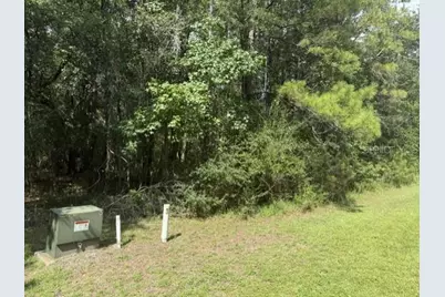 0 NW 148 Lane, Reddick, FL 32686 - Photo 7