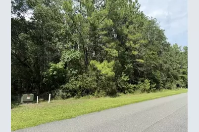 0 NW 148 Lane, Reddick, FL 32686 - Photo 9
