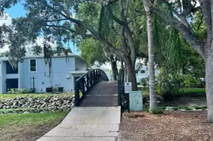 4140 Dolphin Dr, Tampa, FL 33617 - Photo 3