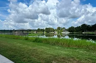 4140 Dolphin Dr, Tampa, FL 33617 - Photo 33