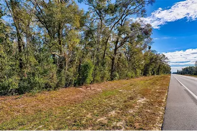 300 S US Highway 129, Bell, FL 32619 - Photo 27