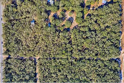 300 S US Highway 129, Bell, FL 32619 - Photo 47