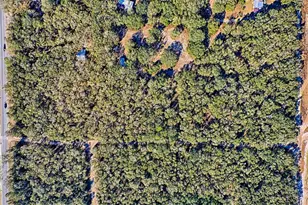 300 S US Hwy 129, Bell, FL 32619 - Photo 47