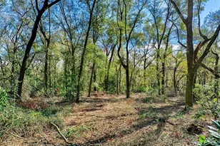 300 S US Hwy 129, Bell, FL 32619 - Photo 21