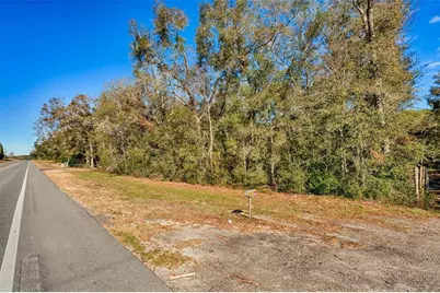 300 S US Highway 129, Bell, FL 32619 - Photo 25