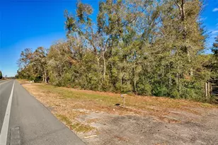 300 S US Hwy 129, Bell, FL 32619 - Photo 25