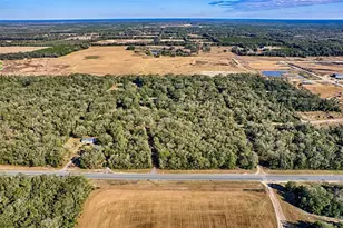 300 S US Hwy 129, Bell, FL 32619 - Photo 33