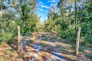 300 S US Hwy 129, Bell, FL 32619 - Photo 23