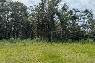 933 NE Fir St, Pinetta, FL 32350 - Photo 17