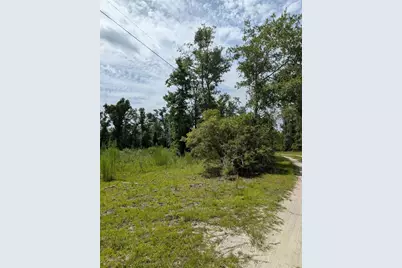 933 NE Fir St, Pinetta, FL 32350 - Photo 19