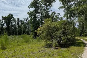 933 NE Fir St, Pinetta, FL 32350 - Photo 19