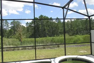 1275 Butterfly Orchid Rd, Davenport, FL 33837 - Photo 33