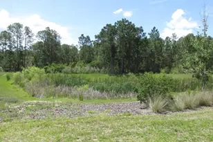 1275 Butterfly Orchid Rd, Davenport, FL 33837 - Photo 41