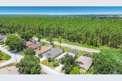 516 Pine Cone Drive, Davenport, FL 33897 - Photo 53