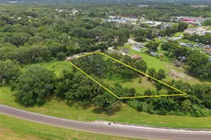 5730 Anna Dr, Tampa, FL 33610 - Photo 45
