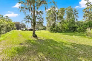 3925 Kaiser Ave, Saint Cloud, FL 34772 - Photo 3