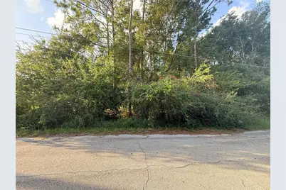 0 Wilfred St, Saint Cloud, FL 34769 - Photo 1
