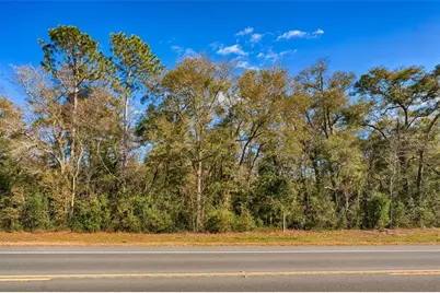 S US Hwy 129, Bell, FL 32619 - Photo 3