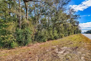 S US Hwy 129, Bell, FL 32619 - Photo 1