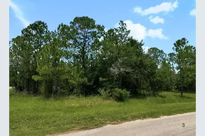 3250 Plumosa Drive, Indian Lake Estates, FL 33855 - Photo 3
