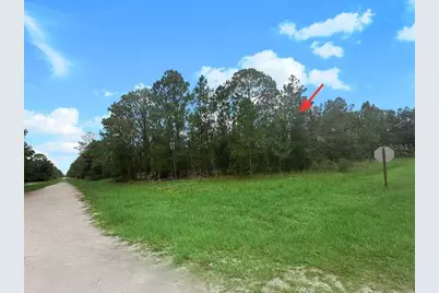 3250 Plumosa Drive, Indian Lake Estates, FL 33855 - Photo 5