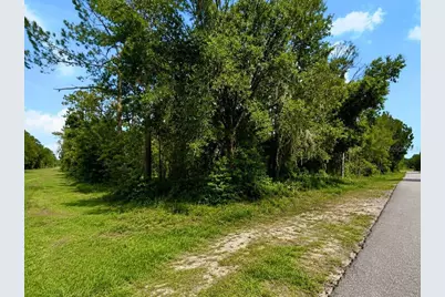 Blk 254 Lot 7 El Dorado Drive, Indian Lake Estates, FL 33855 - Photo 3