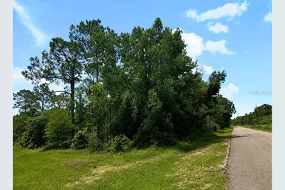 Blk 254 Lot 7 El Dorado Drive, Indian Lake Estates, FL 33855 - Photo 5