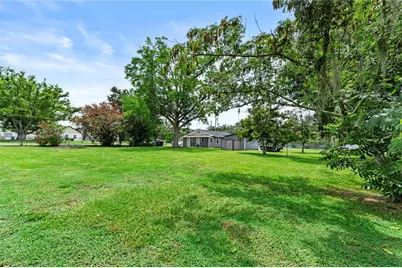 204 Pine Avenue, Polk City, FL 33868 - Photo 31