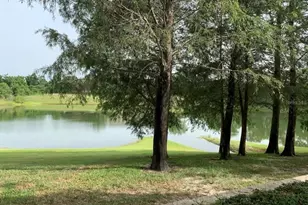 6384 Raleigh St, Orlando, FL 32835 - Photo 37