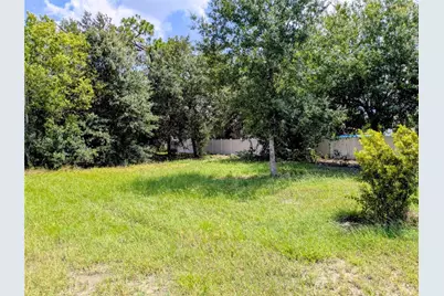 Cord Avenue, Saint Cloud, FL 34772 - Photo 5