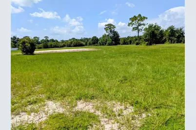 Cord Avenue, Saint Cloud, FL 34772 - Photo 1