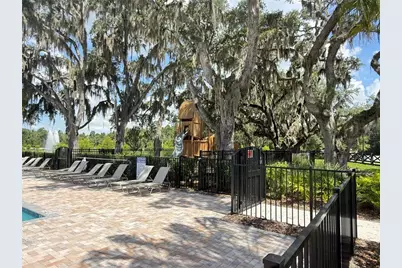 11411 Harborview Street, Orlando, FL 32832 - Photo 21