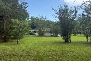 21450 NE 35 St, Williston, FL 32696 - Photo 15