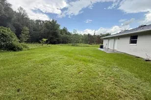 21450 NE 35 St, Williston, FL 32696 - Photo 13