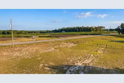 24920 SE Highway 450, Umatilla, FL 32784 - Photo 9