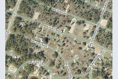 Malauka Radial, Ocklawaha, FL 32179 - Photo 3