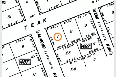 Teak Road, Ocala, FL 34472 - Photo 3