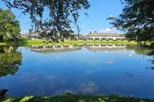2351 Water View Loop, Kissimmee, FL 34743 - Photo 19