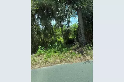 Seaman Avenue, Saint Cloud, FL 34772 - Photo 3