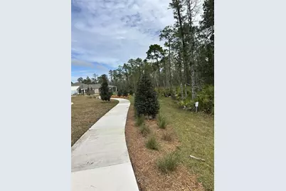 10011 Gazebo Alley, Orlando, FL 32832 - Photo 25