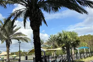 10011 Gazebo Aly, Orlando, FL 32832 - Photo 27