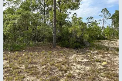 2923 W Pintado Drive, Citrus Springs, FL 34433 - Photo 5